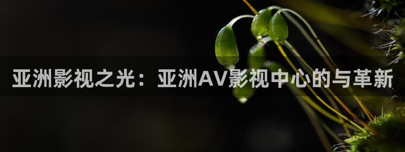 97在线观看视频,
