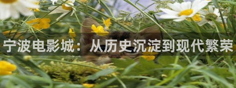 97超碰在线精品