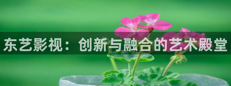 不卡影院97