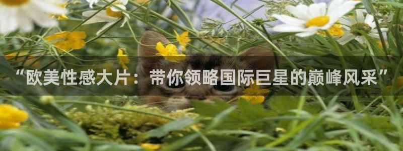 超碰97人人做人人爱亚洲