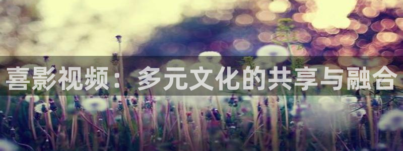 新超碰97在线观看