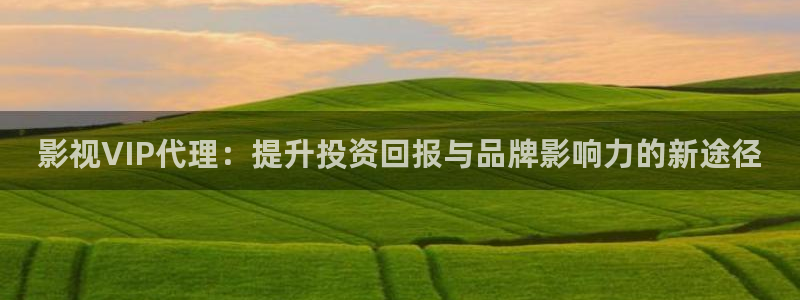 97中文视频在线观看