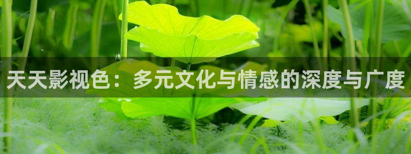 超级碰97